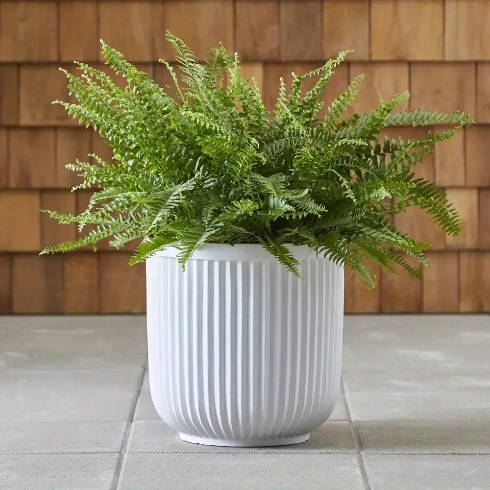16"W x 16"L x 15.8"H White Resin Plant Pot Planter, suitable for all plants indoors and outdoors