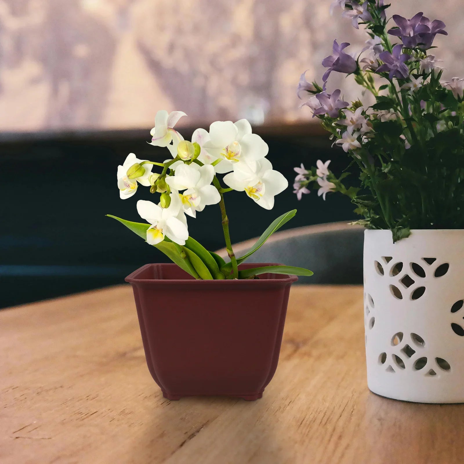 5 Pcs Square Flowerpot Cactus Planter Outdoor Nursery Containers Plastic Bonsai Vase Garden Supplies Planters For Large Pots