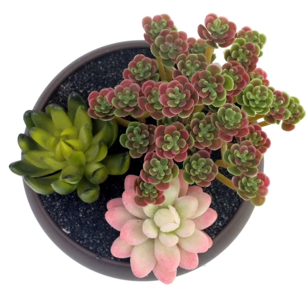 Unglazed Round Ceramic Planter Pot Succulent Cactus Holder with Drainage Perfect Home Office Decoration Wedding Party