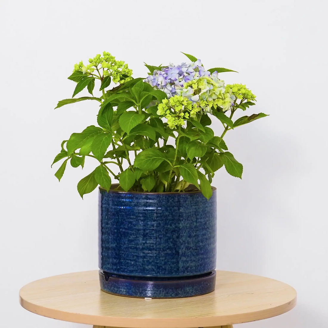 8-Inch Teal Green Toramina Ceramic Planter Pot, Decorative Round Flower Pot for Indoor or Outdoor Use