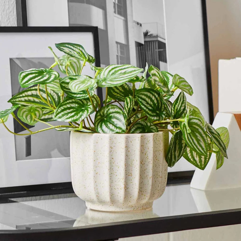 Ceramic Vase 4.5 Inch Ribbed Texture Cream White Durable Pot Indoor Plants Flowers Decorative Accent Home Decor