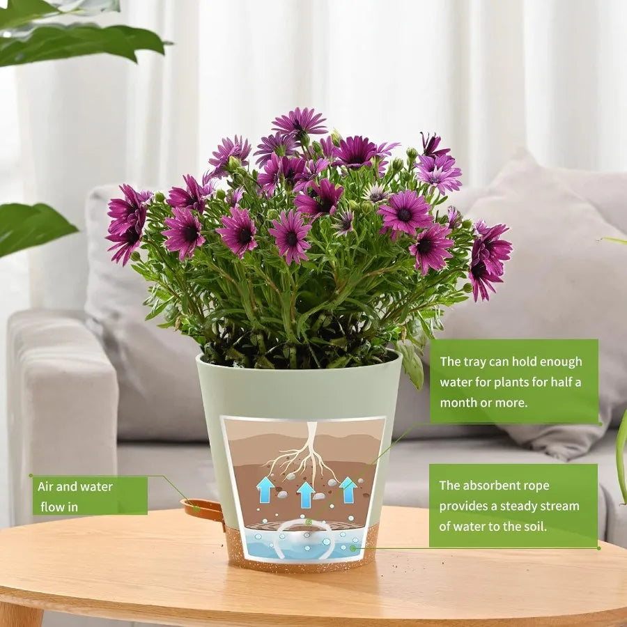 Plant Pots 6 PCS 5 inch Self Watering Planters High Drainage Flowers Pot for Indoor Outdoor Plants with Reservoir Tray and Wate