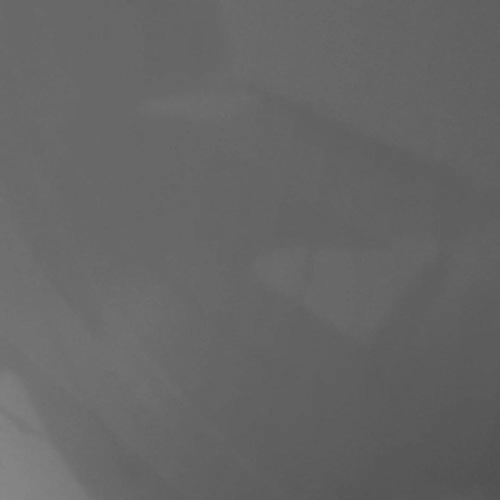 Modern Round Glass Vase Watertight Floral Display Tabletop Decor Stylish Home Accent Piece Easy Care