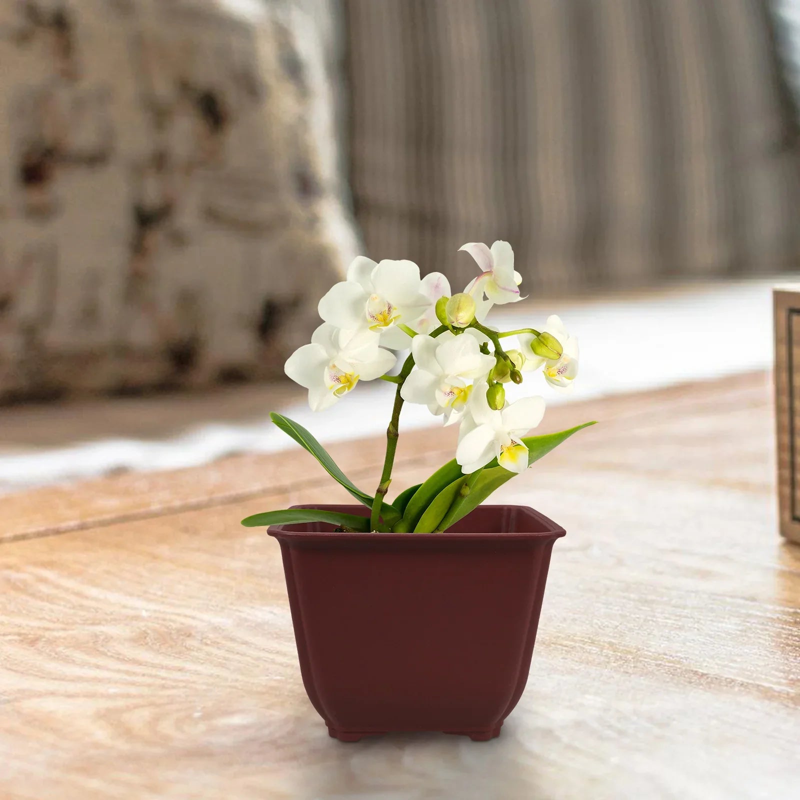 5 Pcs Square Flowerpot Cactus Planter Outdoor Nursery Containers Plastic Bonsai Vase Garden Supplies Planters For Large Pots