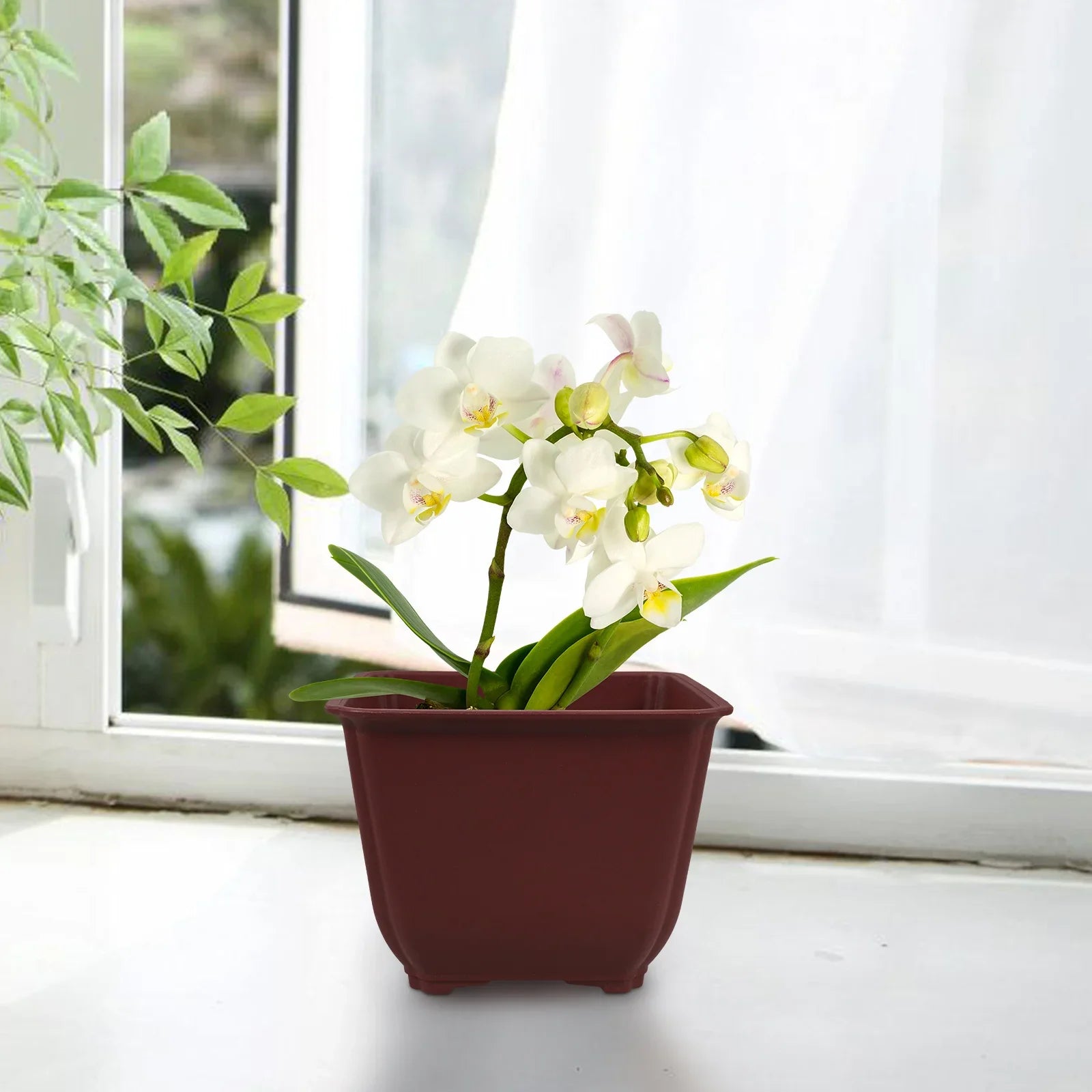 5 Pcs Square Flowerpot Cactus Planter Outdoor Nursery Containers Plastic Bonsai Vase Garden Supplies Planters For Large Pots