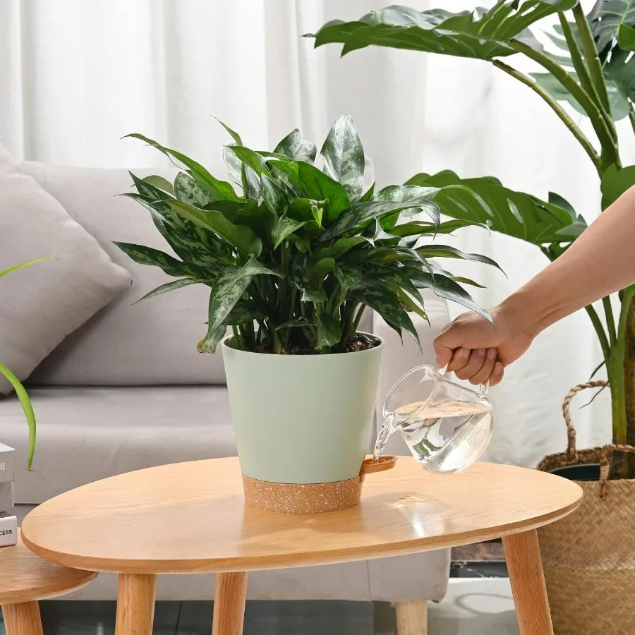 Plant Pots 6 PCS 5 inch Self Watering Planters High Drainage Flowers Pot for Indoor Outdoor Plants with Reservoir Tray and Wate