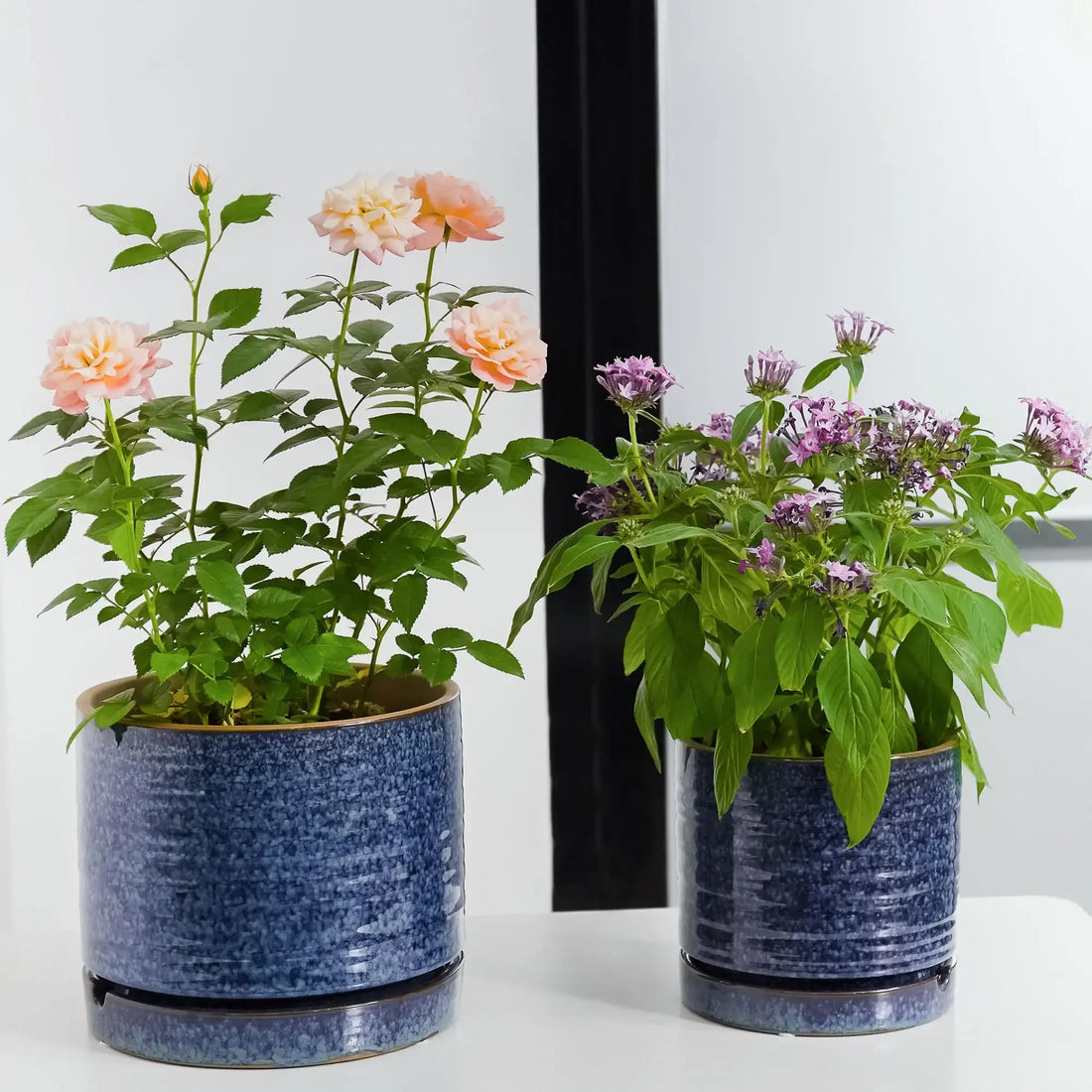 8-Inch Teal Green Toramina Ceramic Planter Pot, Decorative Round Flower Pot for Indoor or Outdoor Use